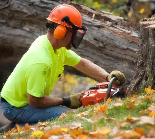 tree services Doniphan